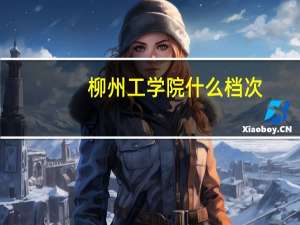 柳州工学院什么档次