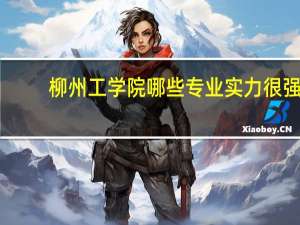 柳州工学院哪些专业实力很强