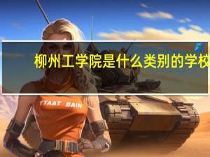 柳州工学院是什么类别的学校