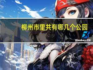 柳州市里共有哪几个公园