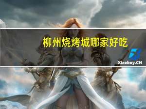 柳州烧烤城哪家好吃