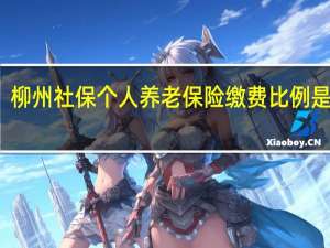 柳州社保个人养老保险缴费比例是多少