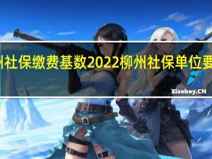 柳州社保缴费基数2022 柳州社保单位要交多少钱