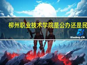 柳州职业技术学院是公办还是民办