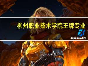 柳州职业技术学院王牌专业