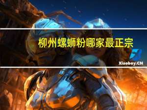 柳州螺蛳粉哪家最正宗