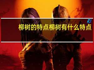 柳树的特点 柳树有什么特点