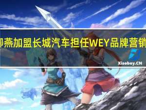 柳燕加盟长城汽车 担任WEY品牌营销总经理