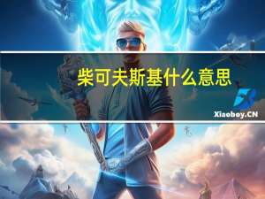 柴可夫斯基什么意思