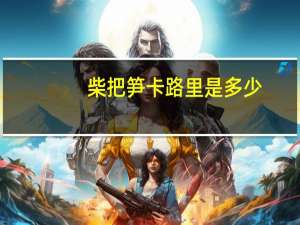 柴把笋卡路里是多少