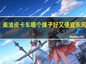 柴油皮卡车哪个牌子好又便宜东风锐旗（柴油皮卡车哪个牌子好）