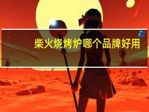 柴火烧烤炉哪个品牌好用