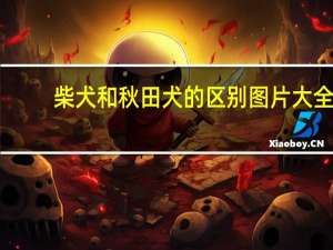柴犬和秋田犬的区别图片大全（柴犬和秋田犬的区别）