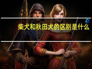 柴犬和秋田犬的区别是什么