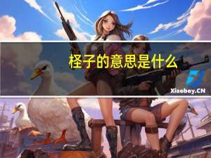 柽子的意思是什么