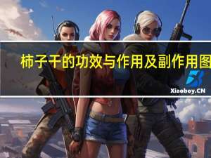 柿子干的功效与作用及副作用图片（柿子干的功效与作用）