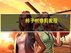 柿子树修剪教程,专家现场教学,手把手教你修剪