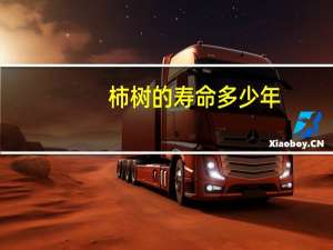 柿树的寿命多少年