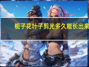 栀子花叶子剪光多久能长出来