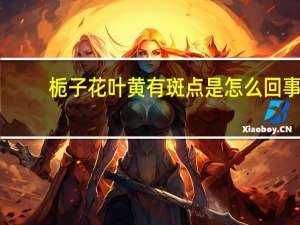 栀子花叶黄有斑点是怎么回事