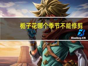 栀子花哪个季节不能修剪