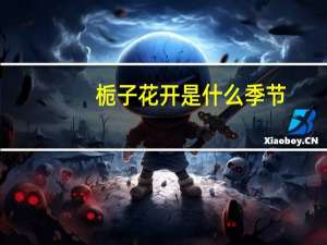 栀子花开是什么季节