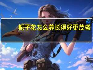 栀子花怎么养长得好更茂盛