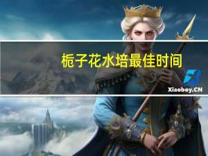 栀子花水培最佳时间