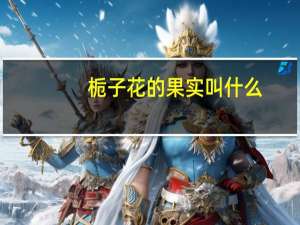 栀子花的果实叫什么