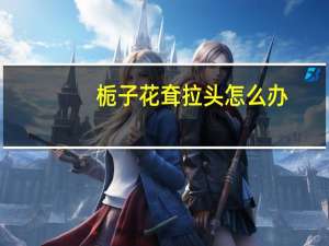 栀子花耷拉头怎么办