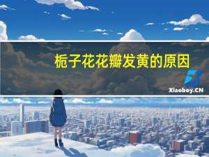栀子花花瓣发黄的原因：多数情况来说