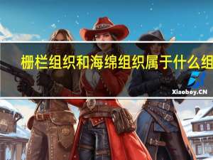 栅栏组织和海绵组织属于什么组织