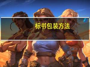 标书包装方法