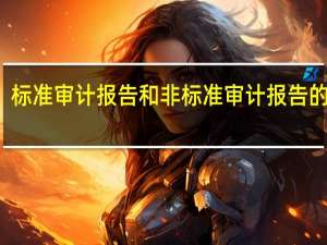 标准审计报告和非标准审计报告的区别