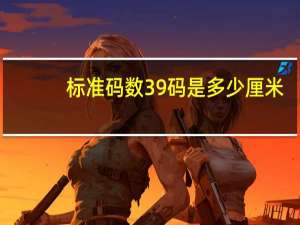 标准码数39码是多少厘米