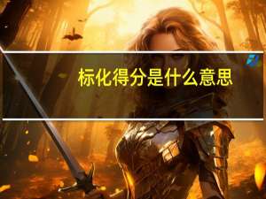 标化得分是什么意思