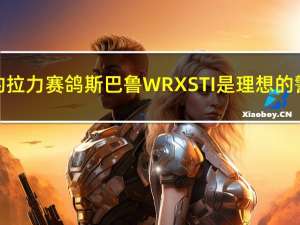 标志性的拉力赛鸽斯巴鲁WRX STI是理想的警察机器