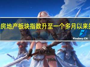 标普500房地产板块指数升至一个多月以来的最高点涨幅2.9%