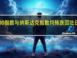 标普500指数与纳斯达克指数均转跌回吐日内早盘涨幅