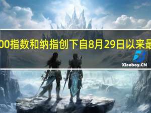 标普500指数和纳指创下自8月29日以来最大单日涨幅