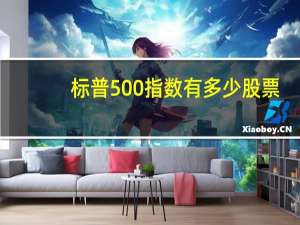 标普500指数有多少股票