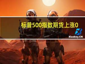 标普500指数期货上涨0.32纳斯达克指数期货上涨0.44道琼斯指数期货上涨0.28