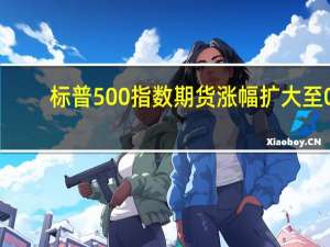 标普500指数期货涨幅扩大至0.3%