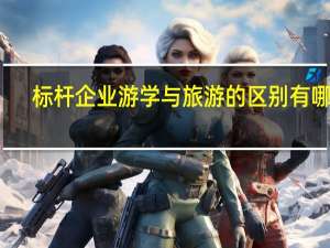 标杆企业游学与旅游的区别有哪些