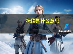标段是什么意思