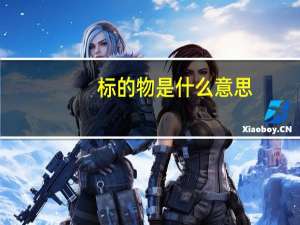 标的物是什么意思