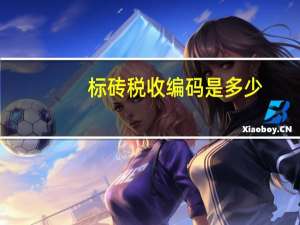 标砖税收编码是多少（标砖）