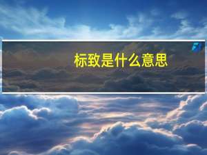 标致是什么意思