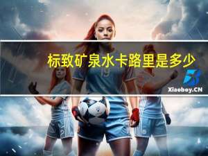 标致 矿泉水卡路里是多少