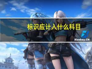 标识应计入什么科目
